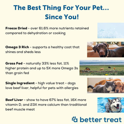 A Better Treat – Freeze Dried Beef Dog Treats, Grass Fed, Beef Liver Single Ingredient | Natural, Healthy, High Value | Gluten Free, Grain Free, H...