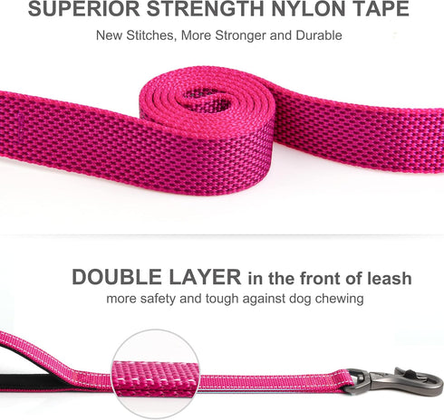 Fida 6 FT Heavy Duty Dog Leash with 2 Comfortable Padded Handles, Traffic Handle & Advanced Easy Snap Hook, Reflective Walking Lead for Large, Med...