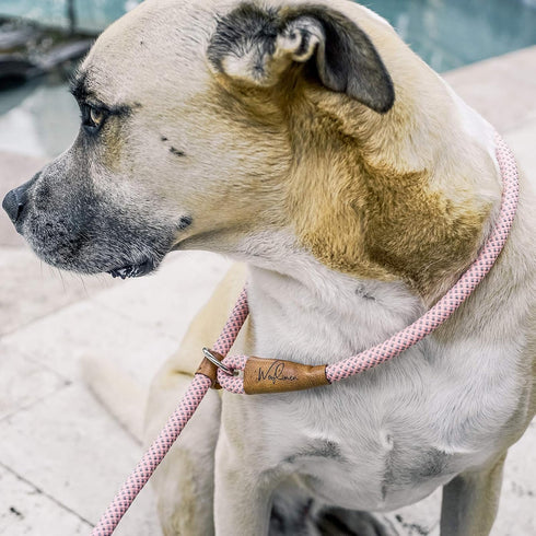 Ultra Reflective Premium Dog Slip Leash Made from Mountain Climbing Rope - Great for Training and The Strongest Pullers 6 Foot (Pink Marshmallow)...