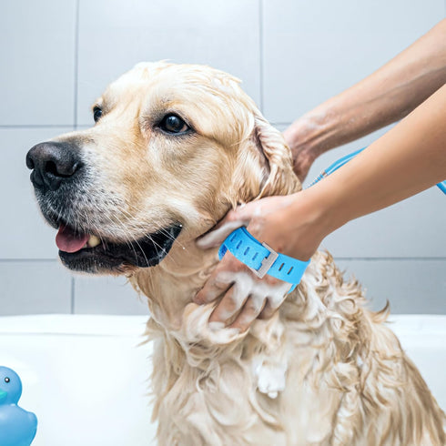 Dog Bath Hose Sprayer and Scrubber Attachment - Indoor/Outdoor Pet Bathing, Grooming and Washing - Pet Shower Brush with Garden Nozzle...