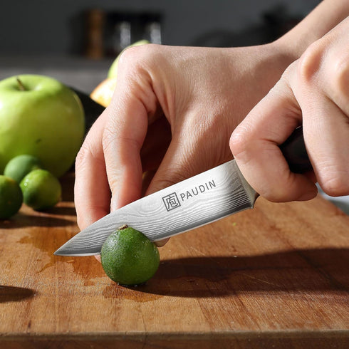 PAUDIN Paring Knife, 3.5 Inch Fruit Knife, High Carbon 5Cr15Mov Stainless Steel Forged Paring Knife, Ultra Sharp Small Kitchen Knife, Ergonomic Wo...