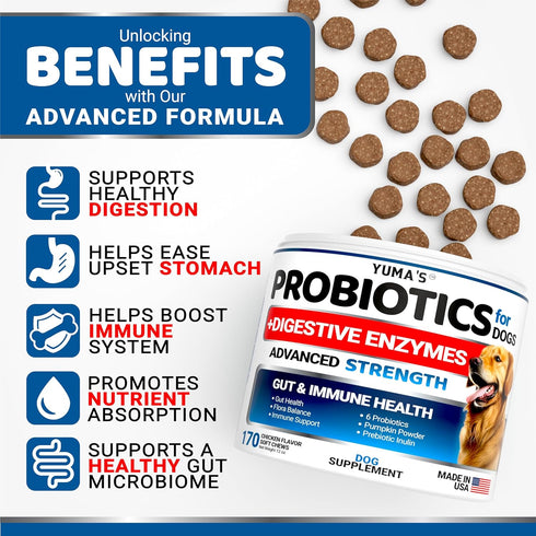 Probiotics for Dogs and Digestive Enzymes - 170 Dog Probiotics Chews - Dog Probiotic - Anti Diarrhea, Upset Stomach & Gas Relief, Constipation, Ca...