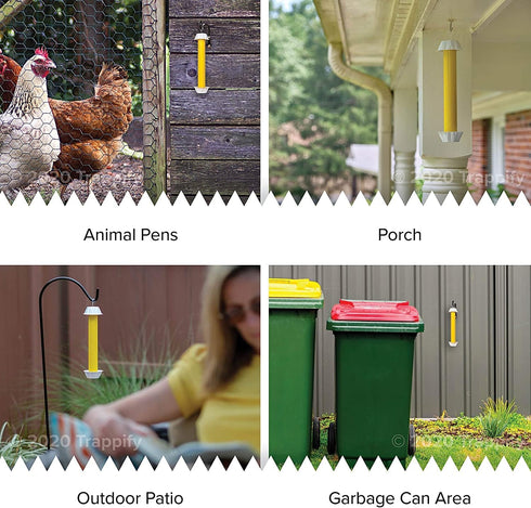 Trappify Hanging Fly Traps Outdoor: Fruit Fly Traps for Indoors | Gnat Traps for House Indoor | Fly Trap Indoor - Disposable Sticky Fly Trap for I...