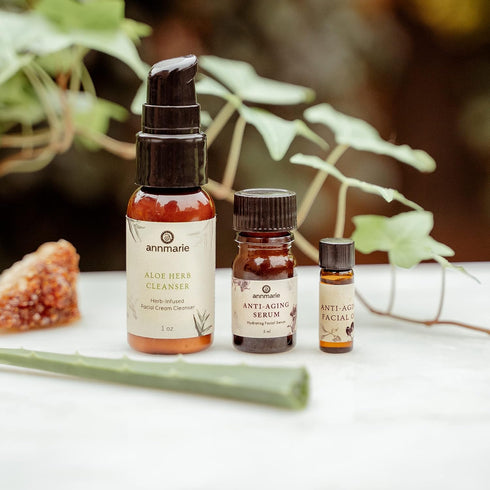 Annmarie Skin Care Clean Beauty Kit...