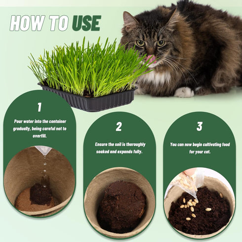 Organic Potting Soil for Indoor Cat Grass, Great Seedling Soil for Wheat Grass, bermuda, catnip, and All Indoor Herb Plants...