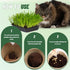 Organic Potting Soil for Indoor Cat Grass, Great Seedling Soil for Wheat Grass, bermuda, catnip, and All Indoor Herb Plants...