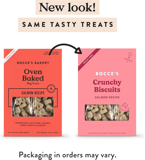 Bocce's Bakery Oven Baked Salmon Recipe Treats for Dogs, Wheat-Free Dog Treats, Made with Real Ingredients, Baked in The USA, All-Natural Salmon, ...