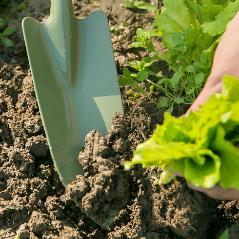 Worth Garden Transplanter Planting Trowel Shovel - Carbon Steel Hand Shovel Tool with TPR Ergonomic Grip for Gardening Weeding Transplanting and D...