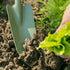 Worth Garden Transplanter Planting Trowel Shovel - Carbon Steel Hand Shovel Tool with TPR Ergonomic Grip for Gardening Weeding Transplanting and D...