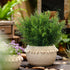Artificial Plants Flowers Grass Shrubs 8 Pack No Fade Faux Plastic Flowers Outdoor for Farmhouse Garden Porch Patio Indoor Wedding Decoration Gree...