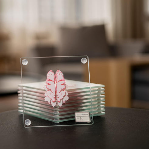 Anatomic Brain Specimen Coasters (Set of 10) - Neuroscience Gifts Best Gifts for Medical Student Gifts Brain Decor Human Anatomy Gifts Weird Gifts...