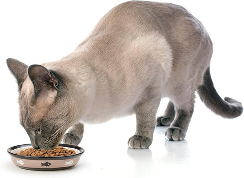 PetRageous 10070 Oval City Pets Stoneware Cat Bowl 6.25-Inch Wide and 1.5-Inch Tall Saucer with 1-Cup Capacity is Dishwasher and Microwave Safe fo...