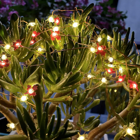 FURORA LIGHTING Red & Green Maple Leaf LED Fairy Lights with 6/18 Timer, 20 LED Warm Night Lights, 90-Inches of Magical Fairy Lights for Room Déco...