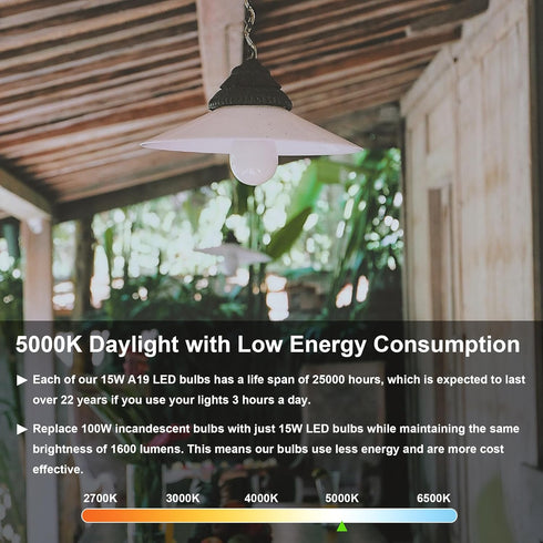 LED Light Bulbs Daylight 15W: 1600Lm 100W Equivalent LED Bulbs E26 Edison Screw Base Super Bright 5000K LED Bulb A19 15W Light Bulbs for Indoor Ou...