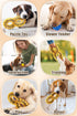 2024 New Treat Dispensing Dog Toys Dog Puzzle Toy, Nontoxic Bite Food Ball Slow Feeder Dog Bowls, Dog Treat Dispenser Toy Exercise Game IQ Trainin...