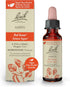 Bach Original Flower Remedies, Aspen for Apprehension and Security (Non-Alcohol Formula), Natural Homeopathic Flower Essence, Holistic Wellness an...
