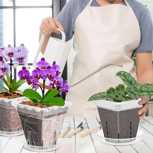 Orchid Pot, 7 Pack 6 Inch Clear Square Plastic Breathable Orchid Pots for Repotting, Plant Potswith Holes and Saucers for Indoor Plants, Spider Pl...