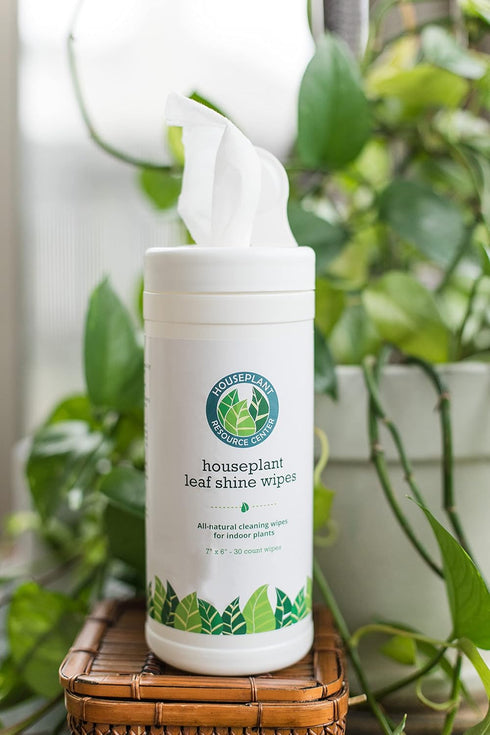 Leaf Cleaner Wipes for House Plants - Sparkling Leaf Shine for Indoor Plants Plant Cleaning Wipes for Leaves - Root and Plant Duster Wipes (30 Cou...