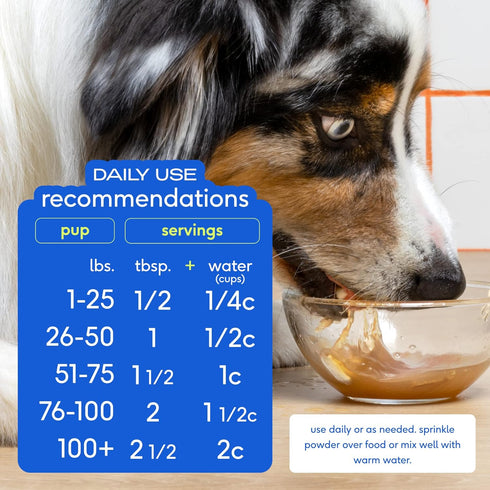 Native Pet Bone Broth for Dogs and Cats – Dog Bone Broth Powder for Dog Food Topper for Picky Eaters – Cat and Dog Broth - Dog Gravy Topper for Dr...