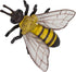 Safari Ltd. Life Cycle of a Honey Bee - Educational Toy Figurines - Miniature Bee Lifecycle Collection for Boys, Girls & Kids Age 4+...