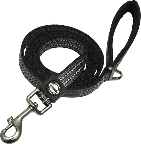 Franklin Pet Supply Nylon Dog Leash – Reflective – Comfort Fit – Neoprene Handle – 6 Foot – Dog Training – Walking – Black...