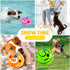 2 Pack Giggle Ball for Dogs Small Funny Wiggle Ball Dog Toys Interactive Dog Toys for Boredom Small Dog Squeaky Balls for Puppy Small Dogs Pug to ...