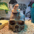 Halloween Human Skull Reptile Hide, Grey Reptile Hides and Caves for Ball Python Leopard Gecko Snake Bearded Dragon Lizard Fish Chameleon Spider, ...