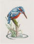 Thea Gouverneur - Counted Cross Stitch Kit - Kingfisher - Aida - 14 count - Embroidery Kit for Adults - DMC Embroidery Threads and other Cross Sti...