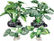 4PCS Aquarium Plants Betta Fish Tank Decorations Small Size Soft Faux Silk Aquarium for Hiding Fish Reptil...
