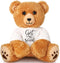 Get Well Soon Bear 16 Inch Bear Stuffed Animals with White T-Shirt Feel Well Soft Bear Plush Hospital Gifts for Boy and Girl (Classic Style)...