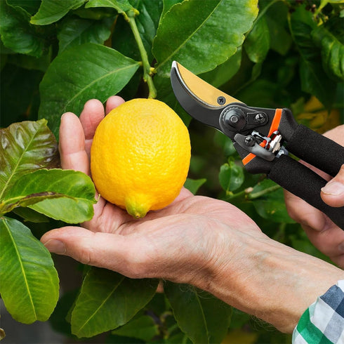 Garden Pruning Shears - Handheld Sharp Garden Scissors, Pruners for Gardening, Flower & Plant Trimming, High Carbon Steel Garden Clippers - Ergono...