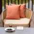 NiNi ALL Outdoor Waterproof Throw Pillow Covers Set of 2 Decorative Farmhouse Garden Pillowcase Solid Cushion Cases for Patio Tent Couch 22x22 inc...