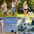Ownpets Dog Training Pouch, Pet Treat Training Pouch with Collapsible Bowl, Shoulder Strap & Waist Strap, 4 Ways to Wear, Practical Training Bag f...