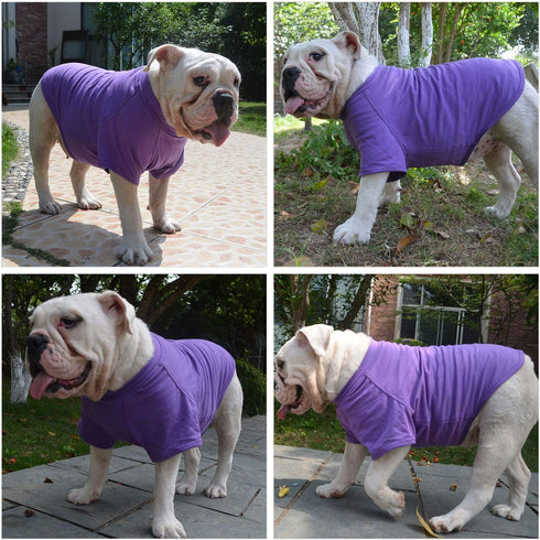 Lovelonglong 2019 Pet Clothing Dog Costumes Basic Blank T-Shirt Tee Shirts for Small Dogs Purple L...