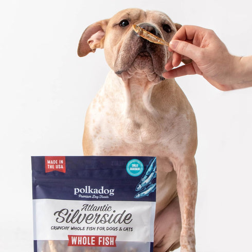 Polkadog Atlantic Silverside Whole Fish Dog Treats – All-Natural Treats for Dogs, Pets, Cats – Single Ingredient Crunchy Pet Snacks, Training Trea...