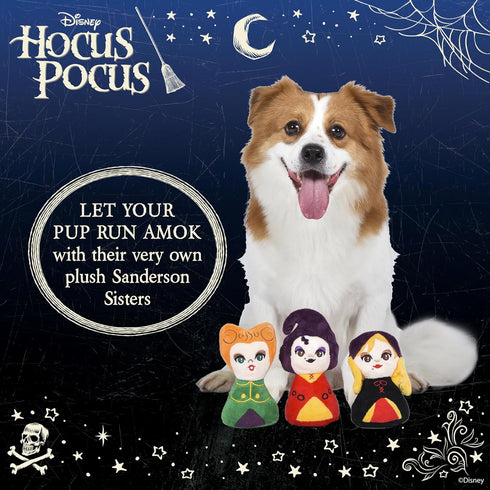 Hocus Pocus Sarah Sanderson Plush Squeaky Toy for Dogs, 6” | Halloween Themed Dog Toys, Plush Squeaker Hocus Pocus Toy | Disney Hocus Pocus Gifts ...