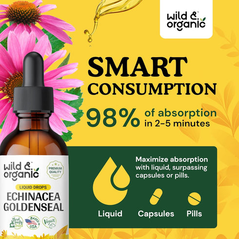 Echinacea Goldenseal Tincture - Immune Support Supplement w/Goldenseal Root and Organic Echinacea - Alcohol-Free Echinacea Goldenseal Liquid for I...