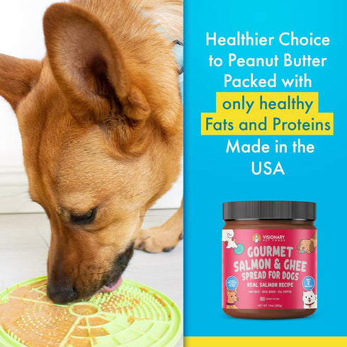 Visionary Pet Foods Tasty Spread for Dogs - Salmon Recipe - The Healthy Dog Treat - Alternative to Dog Peanut Butter - Use on a Dog Food Mat - Dog...