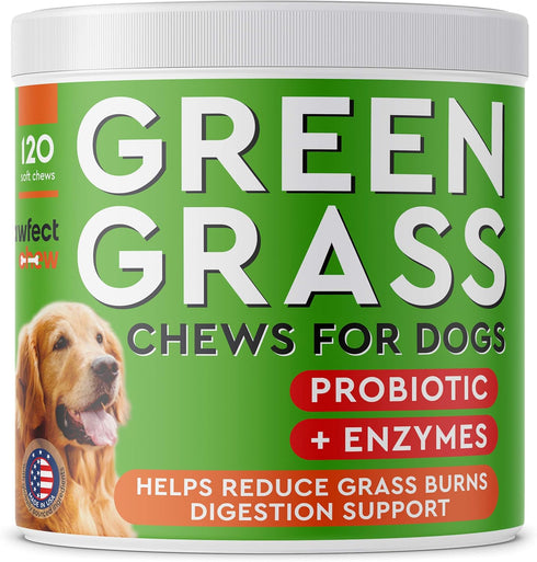 Green Lawn Chews for Dogs - Green Grass Chews - Urine Neutralizer Grass Burn Spots - Lawn Burn from Dog Urine - Probiotics & Enzymes - Made in USA...