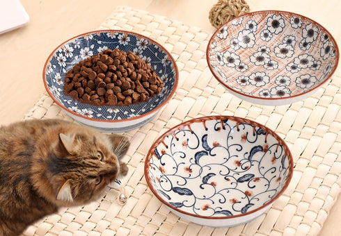 Cat Food Bowls, Whisker Fatigue Cat Bowl, 5.5 Inches Ceramic Kitten Bowl Set of 3, Small Cat Dishes for Indoor Cats, Shallow Cat Plates for Wet Fo...