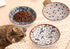 Cat Food Bowls, Whisker Fatigue Cat Bowl, 5.5 Inches Ceramic Kitten Bowl Set of 3, Small Cat Dishes for Indoor Cats, Shallow Cat Plates for Wet Fo...