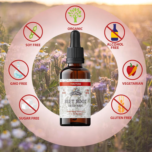 Beet Root Supplement - Liquid Beets Extra Fast Absorption - Beet Root Tincture Organic Extract, Gluten Free, 2 Fl Oz...