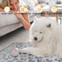 Fleece Blanket for Small Medium Dogs - Washable Puppy Blanket with Cute Paw Print for Bed Couch Protection...
