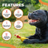 Rubber Crazy Chicken Dog Toy, 100% Natural & Durable Latex Dog Squeaky Toys, Soothes, Entertains & Promotes Wellness, Funny Puppy Toys for Small, ...