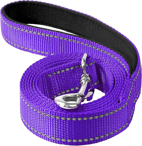 6ft Dog Leash for Small Medium Large Dogs | One-Sided Reflective Nylon | Padded Handle | 3/4 inch Wide | Purple...