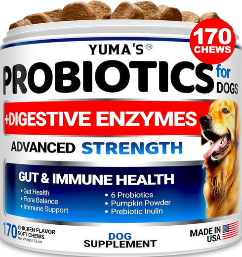 Probiotics for Dogs and Digestive Enzymes - 170 Dog Probiotics Chews - Dog Probiotic - Anti Diarrhea, Upset Stomach & Gas Relief, Constipation, Ca...