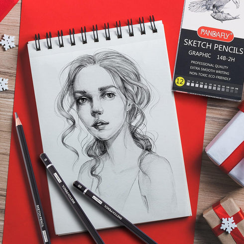 PANDAFLY Professional Drawing Sketching Pencil Set - 12 Pieces Graphite Pencils(14B - 2H), Ideal for Drawing Art, Sketching, Shading, Artist Penci...