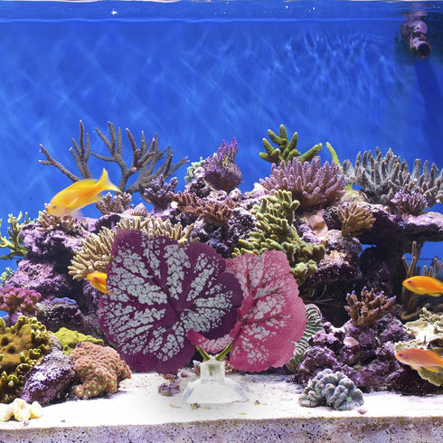 POPETPOP Betta Leaf 2pcs Beta Fish Leaf Bed Aquarium Purple Plant Leaf Hammock Suction Cup Fish Tank Betta Fish Leaf Lounger Landscape Decoration ...