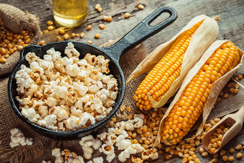 Premium | Butter Flavored Popcorn Seasoning | Large Shaker | Calorie Free | Fat Free | Saturated Fat Free | Cholesterol Free | Low Sugar | Crafted...