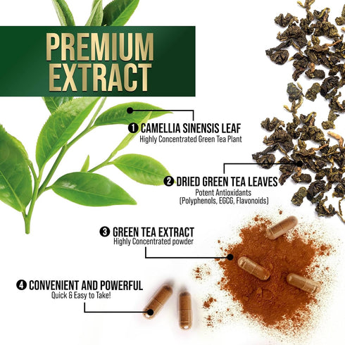 Green Tea Extract Capsules 1000mg 98% Standardized EGCG - 3X Strength for Natural Energy - Heart Support with Polyphenols - Gentle Caffeine - 240 ...